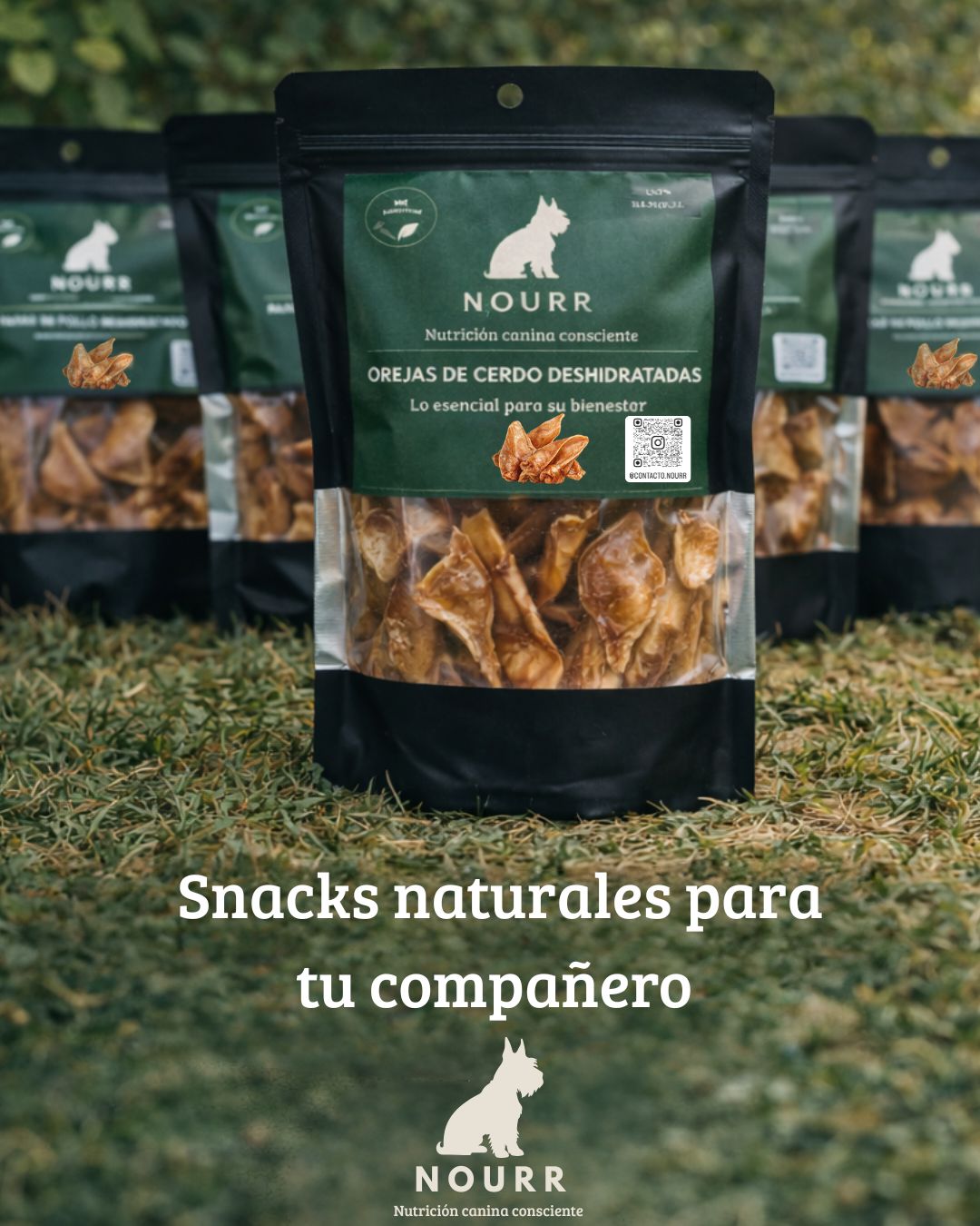 Orejas de Cerdo Deshidratadas